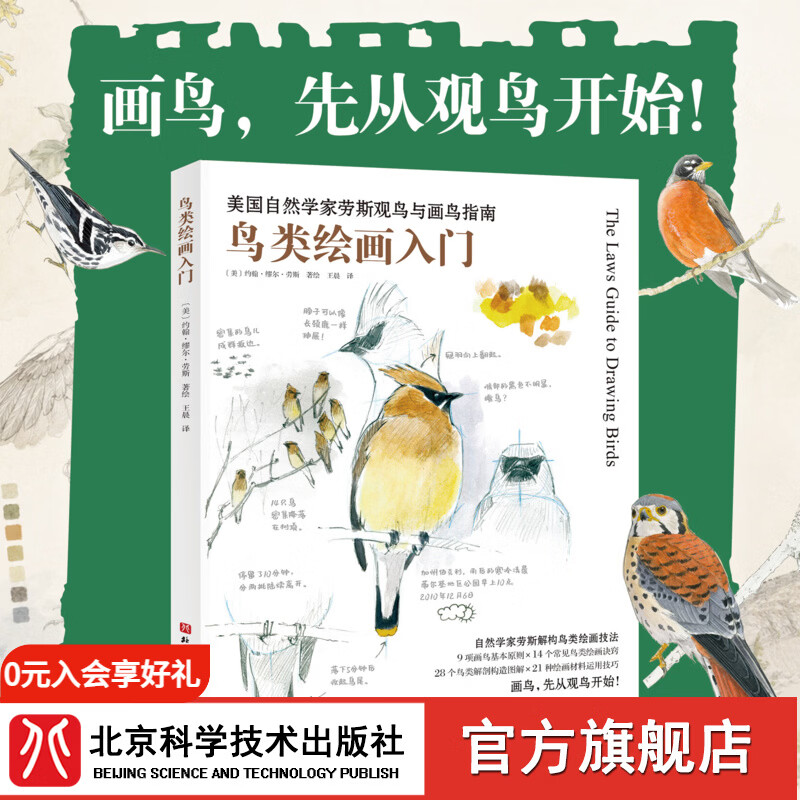 鸟类绘画入门 自然笔记绘画大师约翰·缪尔·劳斯力作 画鸟，先从观鸟开始！专为观鸟爱好者和绘画入门者打造
