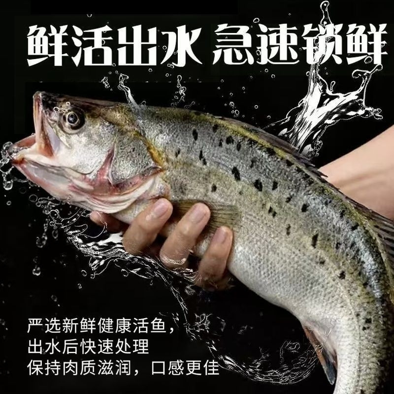 百库三去开背深海鲈鱼 新鲜鲈鱼生鲜鲜活速冻海鲜水产鱼类年货节礼盒 三去海鲈鱼450g*3条