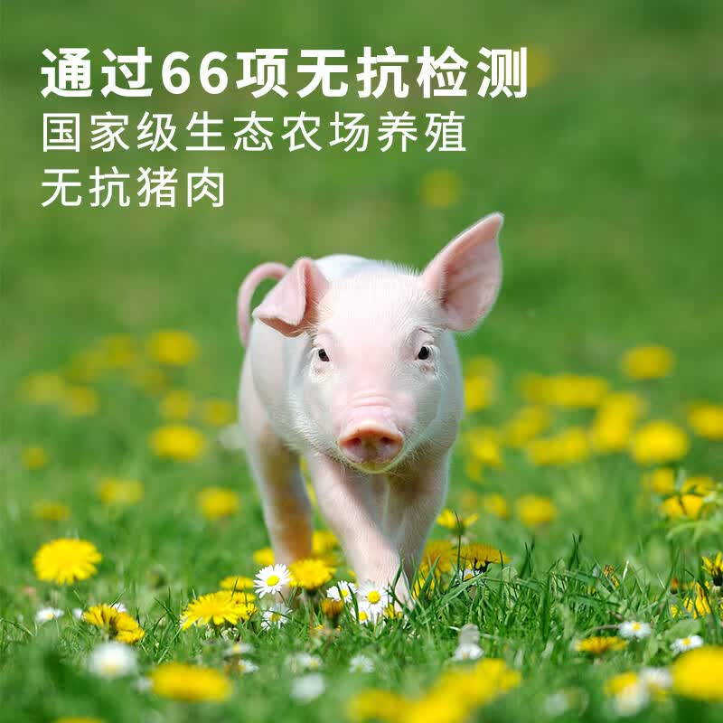 猪福侬火山石烤肠纯肉不添加地道肉肠香肠爆汁新鲜无抗猪肉肠 黑胡椒猪肉烤肠200g*5