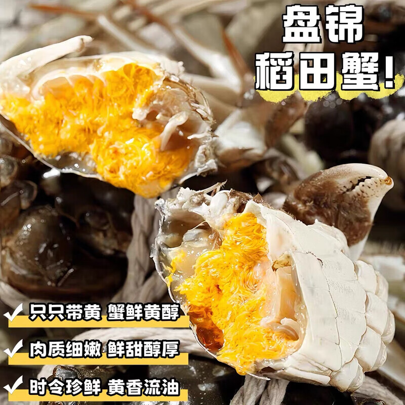 江问鱼网兜蟹 辽宁盘锦河蟹稻田蟹螃蟹鲜活大闸蟹无绳净重 中秋节送礼 六月黄1.4-1.6两2斤12-14只