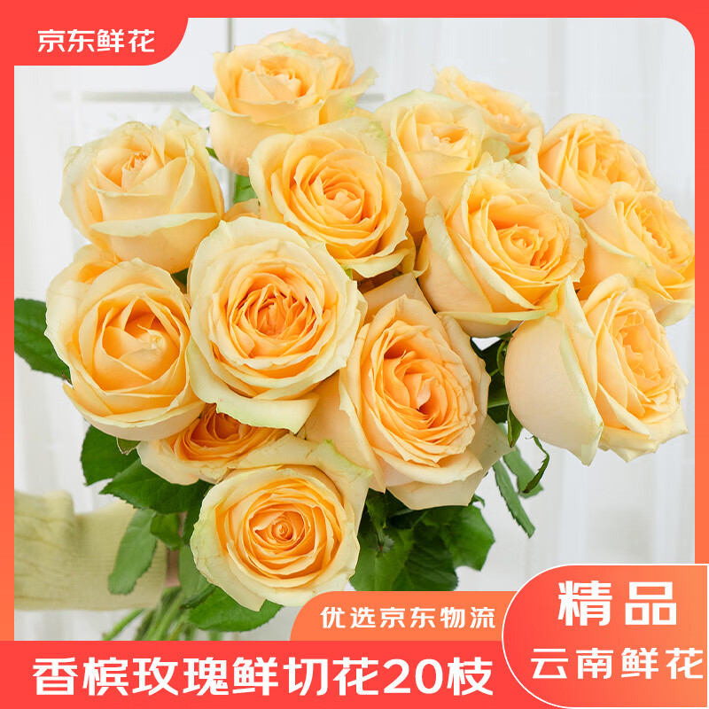 京东香槟玫瑰20枝含赠 19.9元，京东随机玫瑰30枝含赠 23.9元 - 86线报