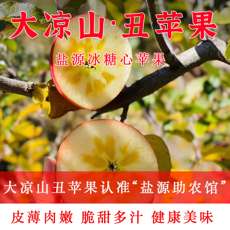 [盐源助农馆]盐源苹果大凉山丑苹果冰糖心苹果脆甜多汁新鲜采摘 净重8斤装中大果(75-80mm)
