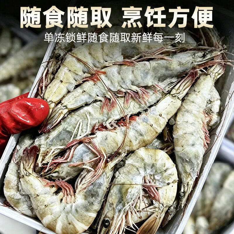 九英里青岛大虾基围虾白虾鲜活青虾海虾对虾生鲜 虾类 海鲜  特大级白虾 15-18cm 3斤(净重) 