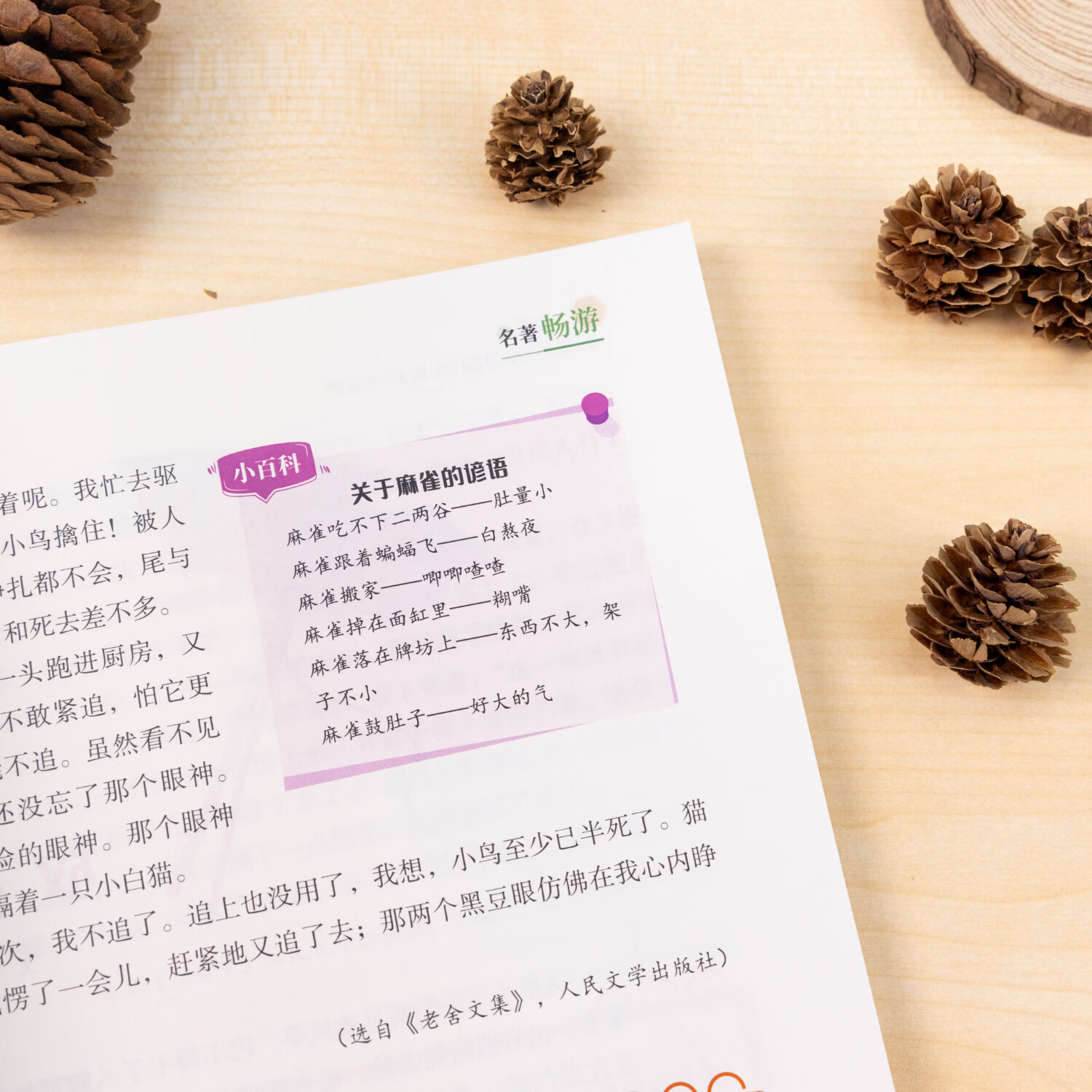 【现货速发】意林星选好文 18周年校园升级版—符合中小学阶段的阅读需求,记叙文、说明文、散文、漫画...文体涉及广泛,为中小学生打开阅读的多维度窗口,阅读写作能力 意林星选好文小学版AB(全二册)
