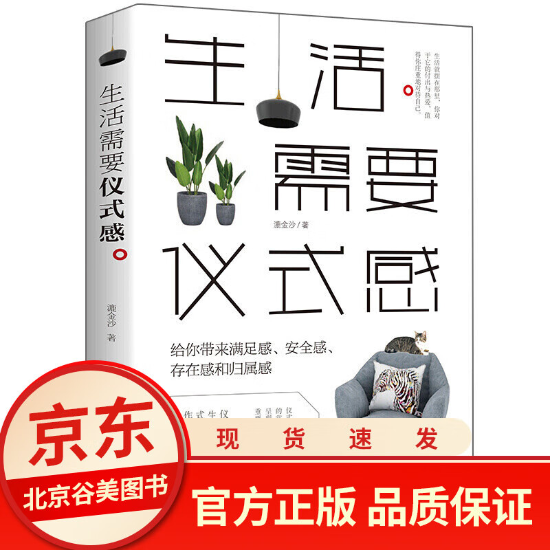 生活需要仪式感 正版单本 把温暖和感动带给你在乎的人 人生哲学系励志书女性励志书当代文学小说