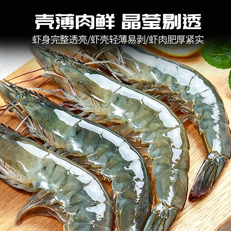 天纵良材厄瓜多尔白对虾 鲜活冷冻大虾白虾鲜活青虾海虾对虾生鲜 中秋送礼 甄选白虾 3斤(净重) 14-17cm