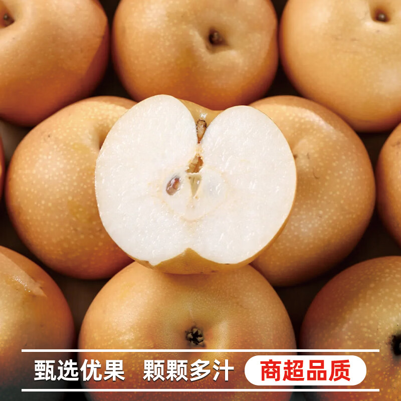 异果恋山东秋月梨 新鲜水果莱阳冰糖梨 当季新鲜水果脆甜现摘梨子 5斤装【大果350g+约5-6个】