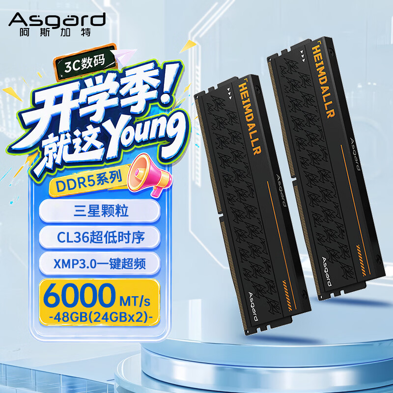 阿斯加特（Asgard）48GB(24GBx2) DDR5 6000 台式机内存条 海姆达尔 马甲条 三星颗粒 CL36 黑厚甲 AI电脑配件升级