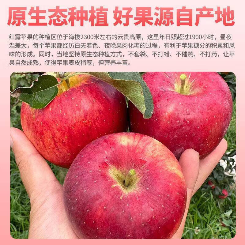 鲜级佳云南昭通冰糖心丑苹果【多地次日达】野生苹果脆甜水果整箱年货 5斤手选装【70mm+】净重4.5斤
