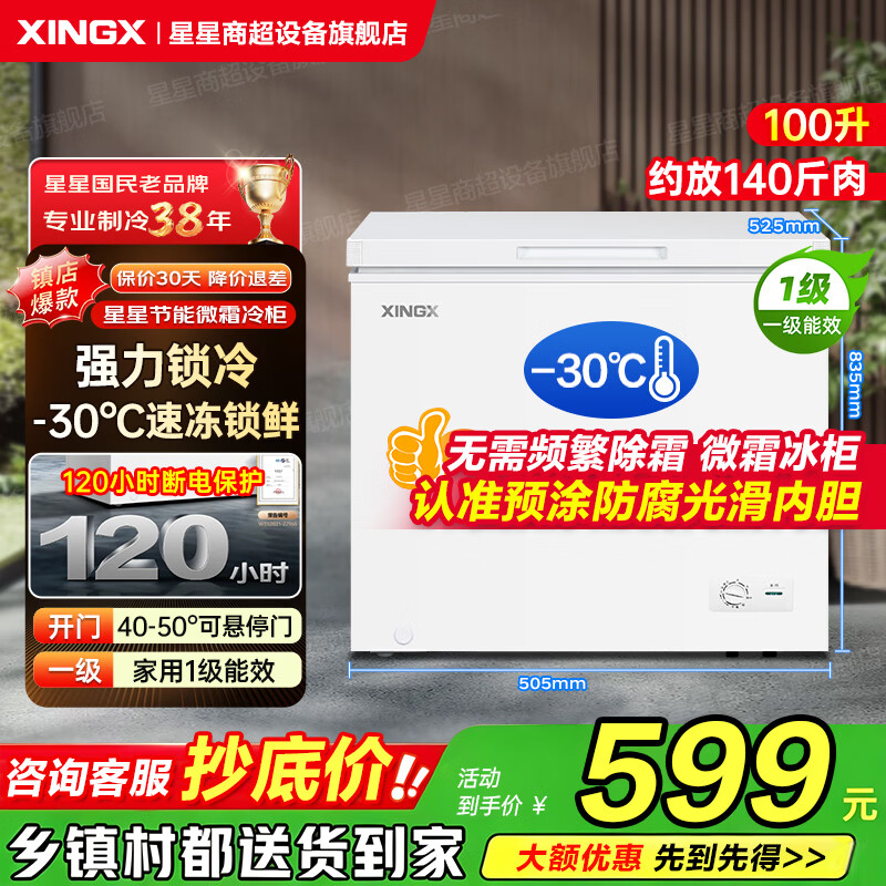 星星冰柜家用小型100/200/300升速冻冷藏冷冻冰箱两用小冰柜一级能效减霜家庭冷柜官方旗舰店以旧换新 迷你冰箱丨PCM内胆丨一级能效减霜 100升