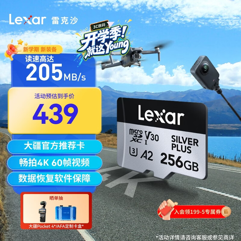 雷克沙（Lexar）256GB TF(MicroSD)存储卡 V30 4K 读205MB/s 大疆Pocket 4P官方推荐 影石Luna内存卡(SILVER PLUS)