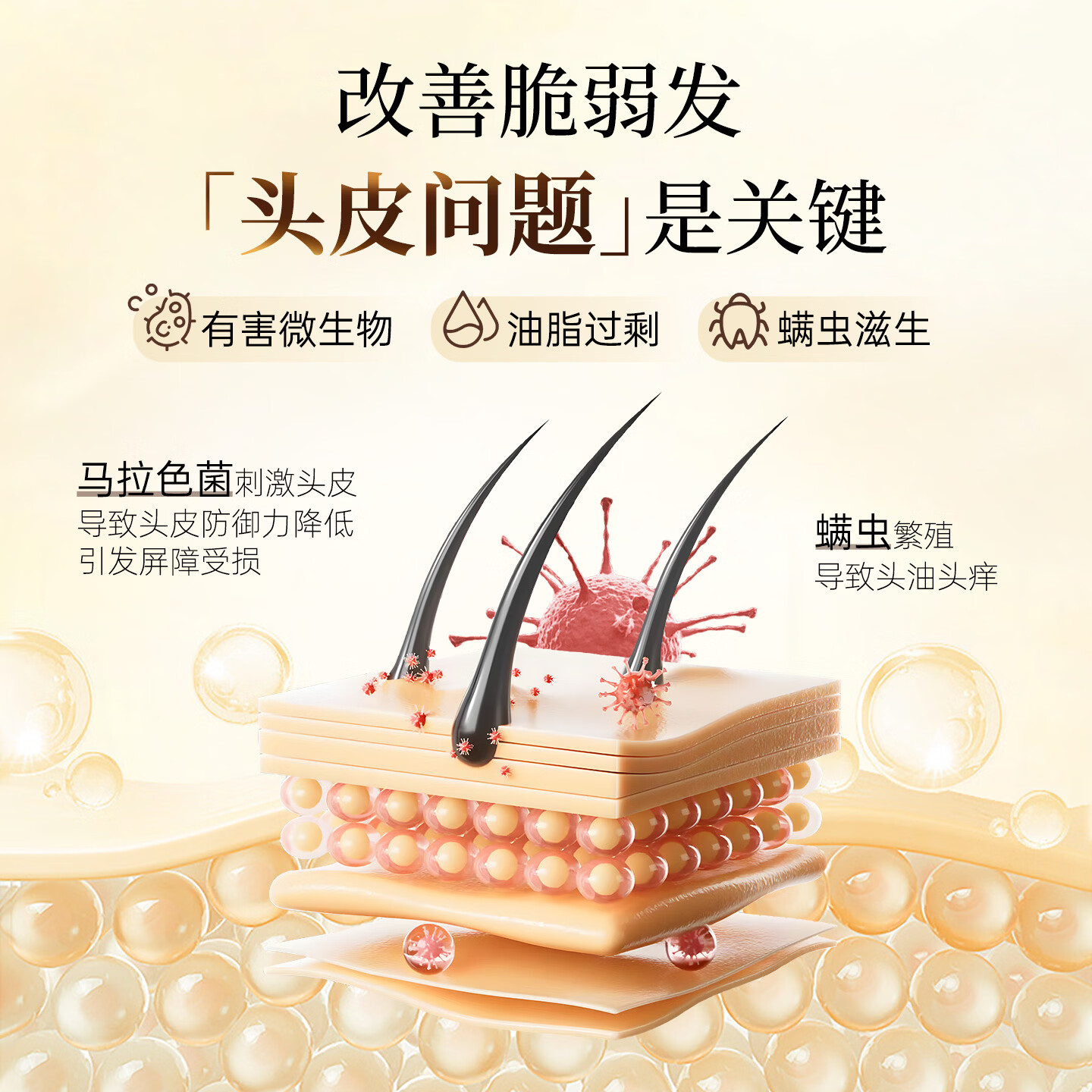 薇弗【去屑控油】蜂胶丰盈固养洗发水去屑去油强韧发丝洗护套装 【强韧+修护】蜂胶洗发水+蜂蜜发膜