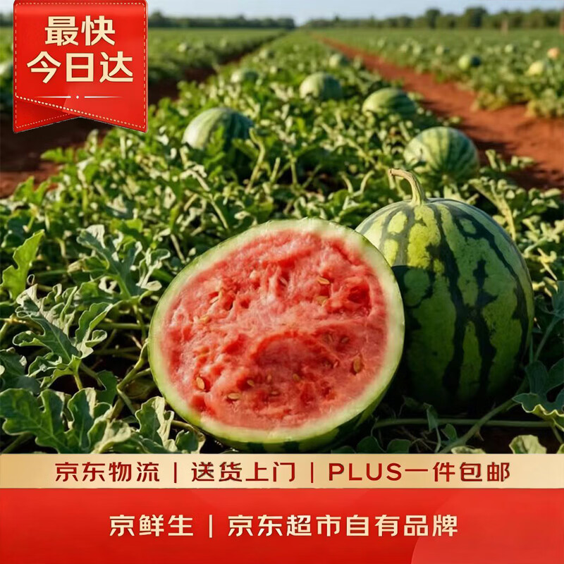京鲜生 无籽麒麟西瓜 1粒装 净重5-7斤 生鲜水果