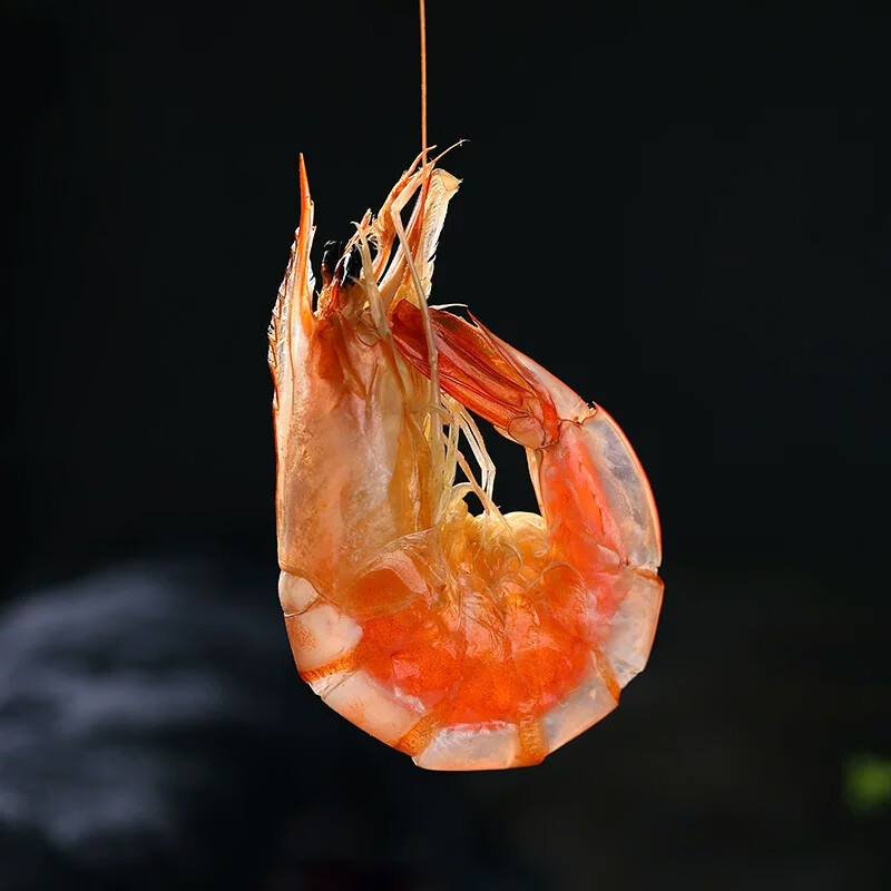 一虾一世界即食烤虾干 活虾现烤海虾 孕妇儿童海产小吃宝宝零食 健康轻食 烤虾干250g【45-55只】
