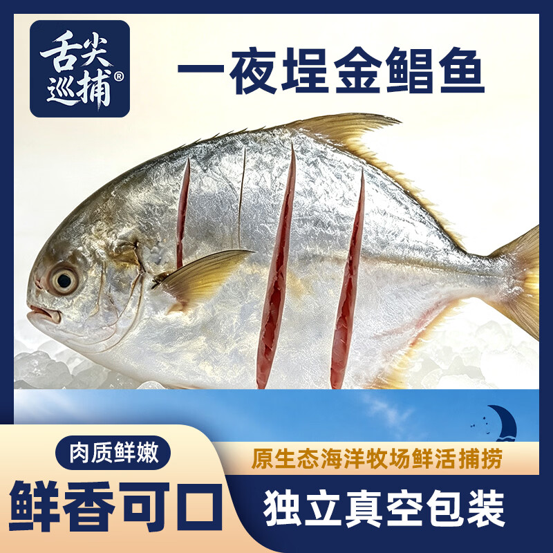 舌尖巡捕一夜埕金鲳鱼咸鱼广东阳江特色特产干货海产品海鲜新鲜腌制淡薄盐 一夜埕金鲳鱼 尝鲜2条装(约500-600g)