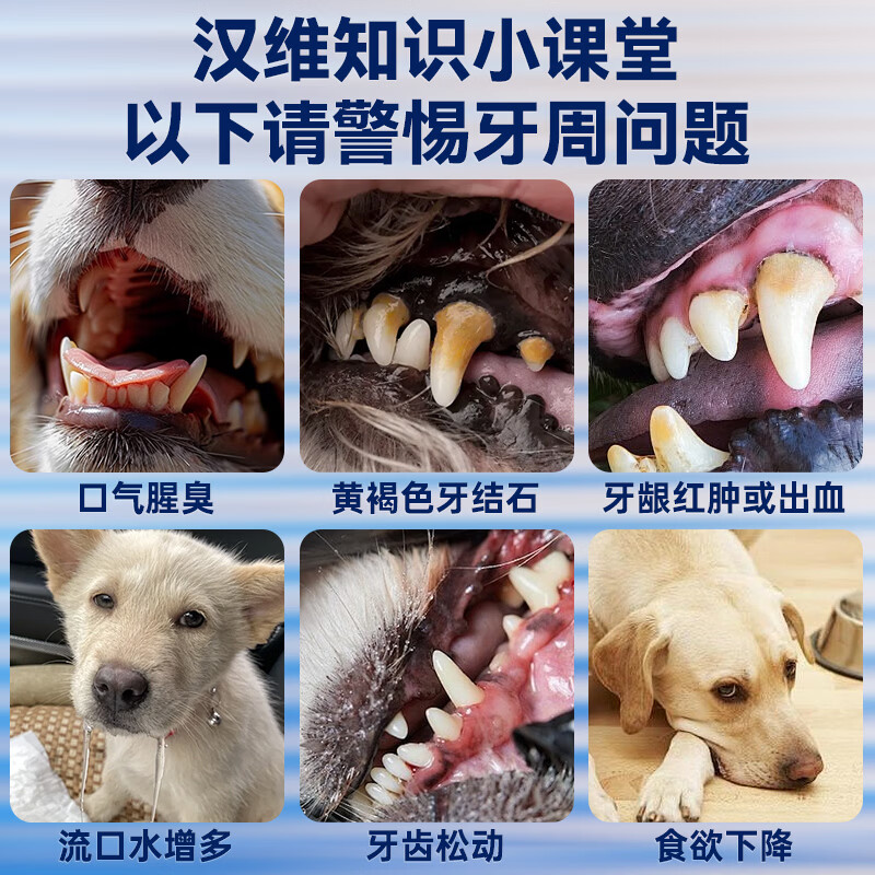 汉维宠仕 宠齿健livisto dentisept洁牙凝胶20g狗缓解牙石口腔清洁