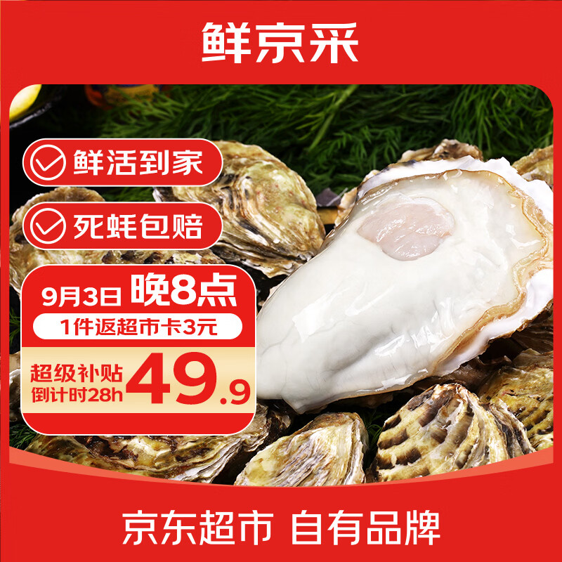 鲜京采鲜活生蚝5XL净重5斤 拍下49.9元 - 86线报