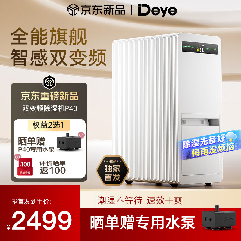 德业（Deye）双变频除湿机40升除湿量家用净化抽湿机卧室地下室客厅防潮除湿器干衣轻音等离子DYD-P40 40L/天 70-120㎡ DYD-P40