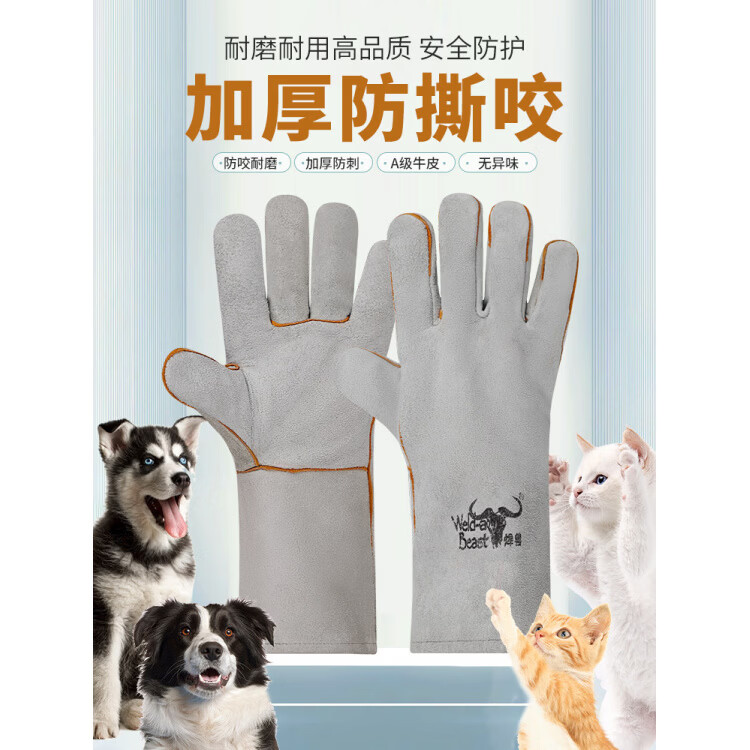 中大型鹦鹉双层牛皮防咬防抓手套防狗咬抓狗训狗专用防猫咬宠物仓鼠虎皮防刺加厚 60cm蓝色/手背手掌加托 均码