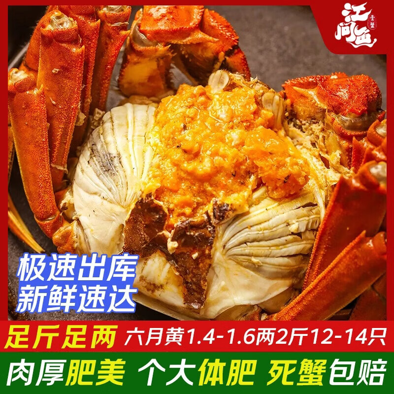 江问鱼网兜蟹 辽宁盘锦河蟹稻田蟹螃蟹鲜活大闸蟹无绳净重 中秋节送礼 六月黄1.4-1.6两2斤12-14只 京东折扣/优惠券