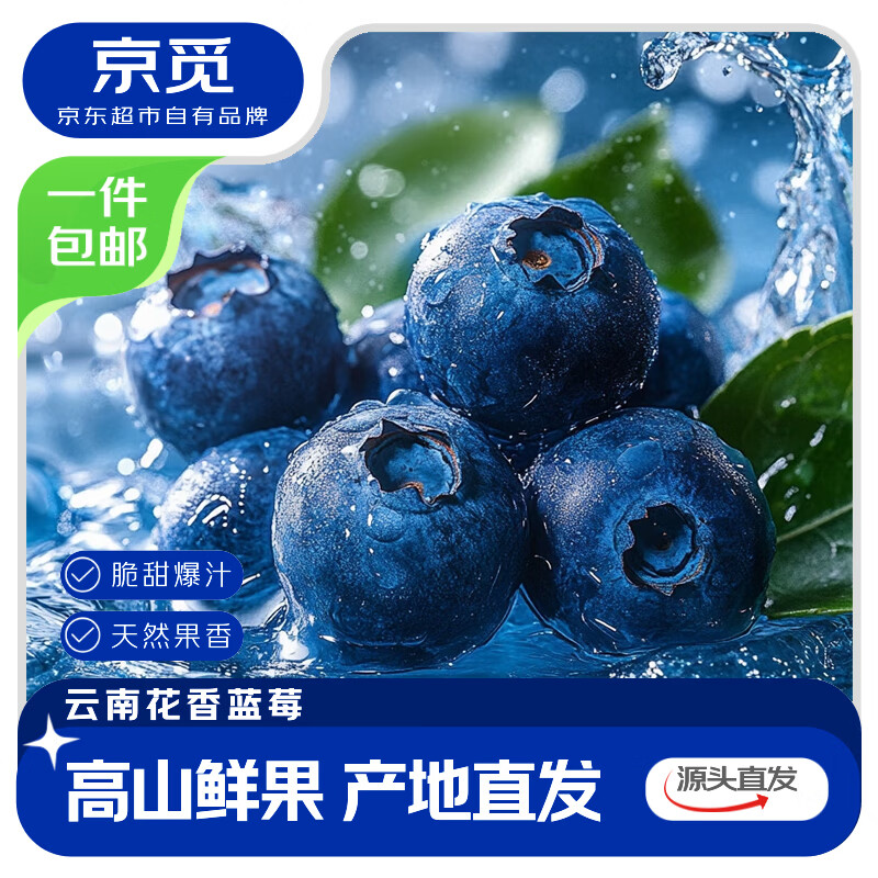 京觅云南头茬蓝莓100g*4盒大果18mm 57.88元 - 折送网