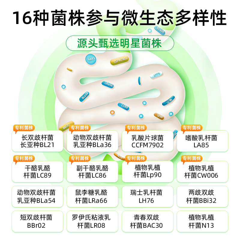 拜曼乳铁蛋白免疫球蛋白儿童成人中老年女性肠道16联益生菌冻干粉 20袋*3盒