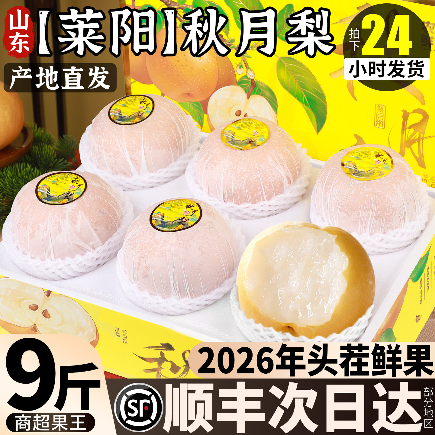 春福乐 正宗山东秋月梨【闪送-多地次日达】水果当季现摘冰糖梨顺丰礼盒 5 斤大果【单果 6 两起】净重 4.5斤 普通快递丨商超一级果