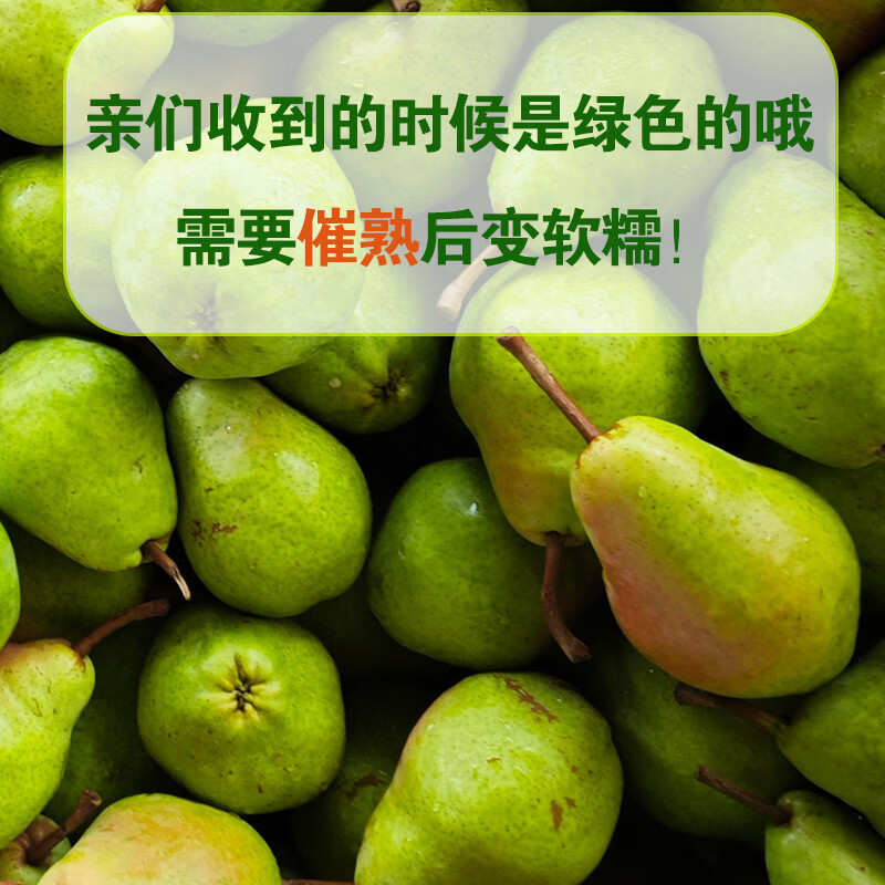 甜醉了烟台太婆梨山东梨子新鲜水果老婆梨软梨葫芦梨茄梨生鲜大头梨啤梨 净重4.5斤中果 (软糯香甜)