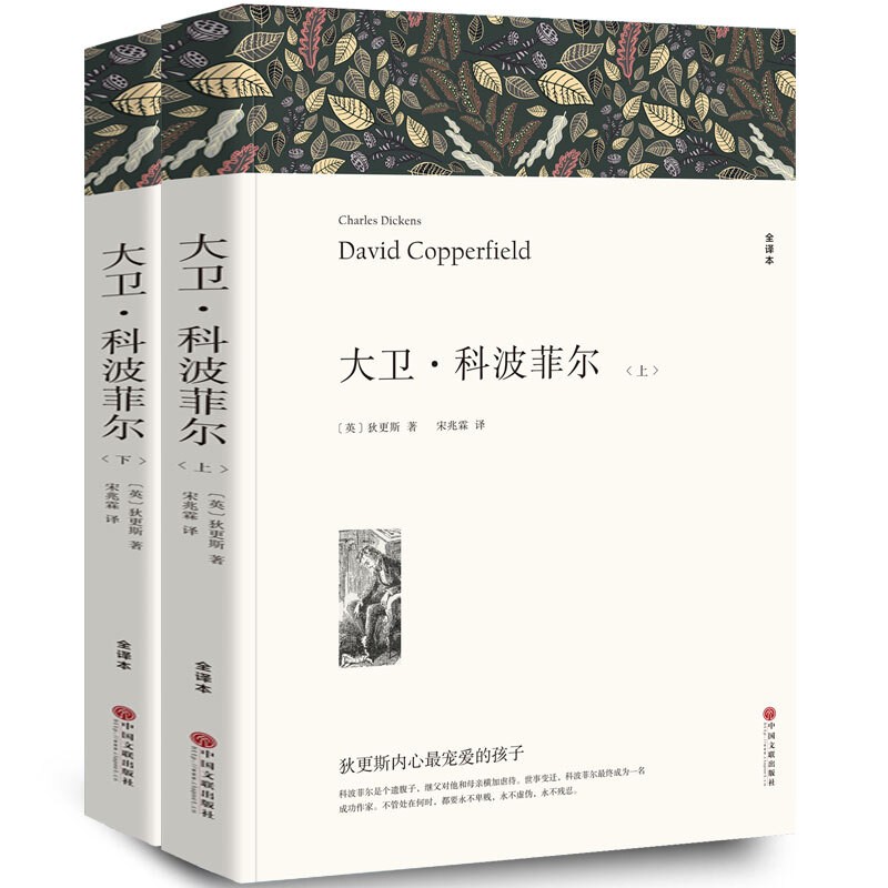 【可选】悲惨世界+复活+大卫科波菲尔+老人与海 百年孤独高中生课外阅读书籍 全译文无删减版 大卫科波菲尔（上下册）全译文无删减