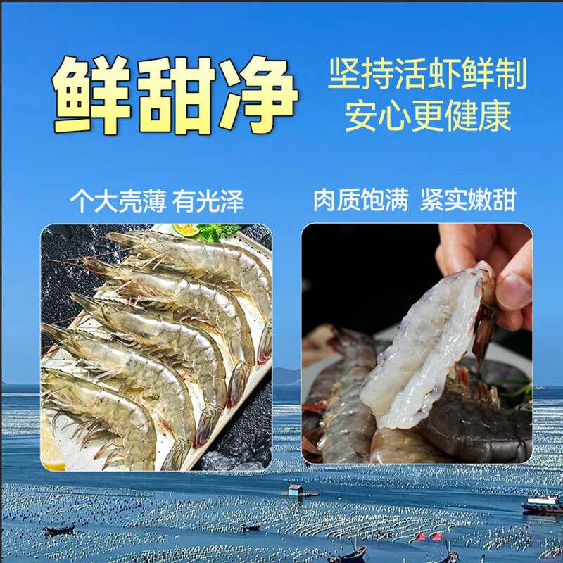 兆华虾青岛大虾基围虾鲜活青虾白虾对虾冷冻生鲜虾类 新鲜活冻海鲜 1500g*1盒【活虾速冻】 1500g(净重) 海捕大虾20/30【特大号】个头大肉质肥嫩