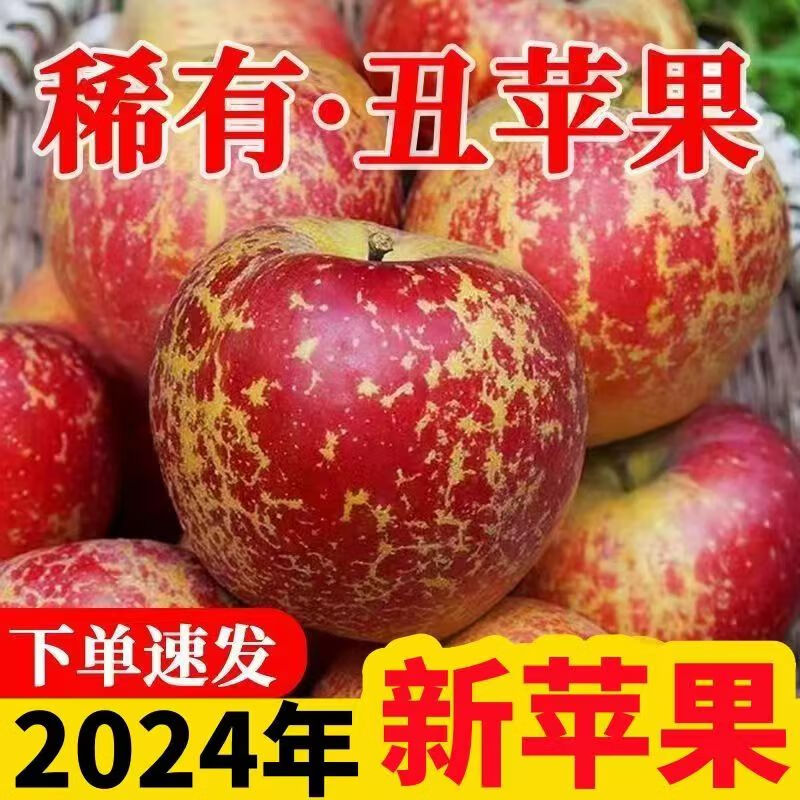 四川大凉山丑苹果冰糖心苹果新鲜水果脆甜现摘现发红富士苹果 中果约70-80mm 5斤带箱