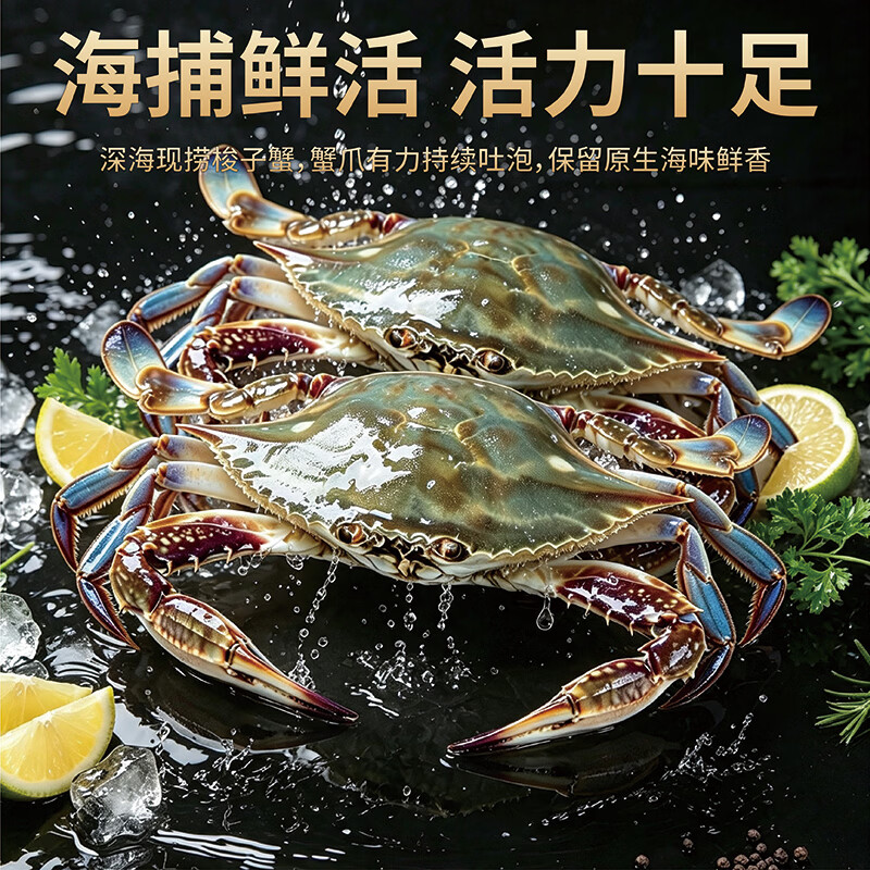 大海船说【保鲜不保活】大海船说舟山梭子蟹海捕鲜活白蟹 冰鲜鲜活 冰鲜鲜活 梭子蟹 3-5两/只【5斤】