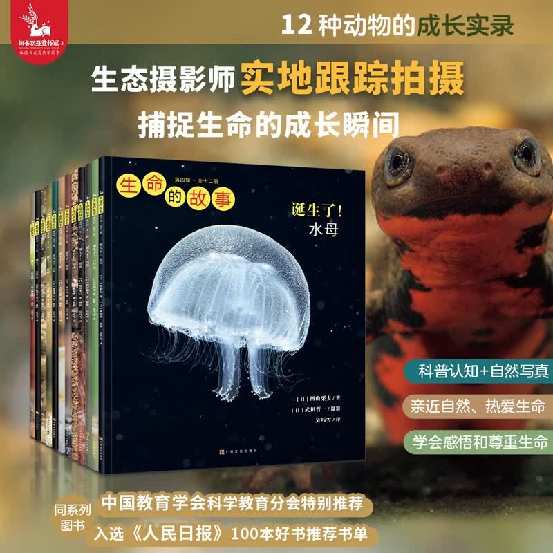 生命的故事 第4辑12册 水母乌贼章鱼蛇 昆虫自然儿童科普绘本 高清实拍动物世界课外阅读百科全书写真集 2-3-6岁幼儿园图书
