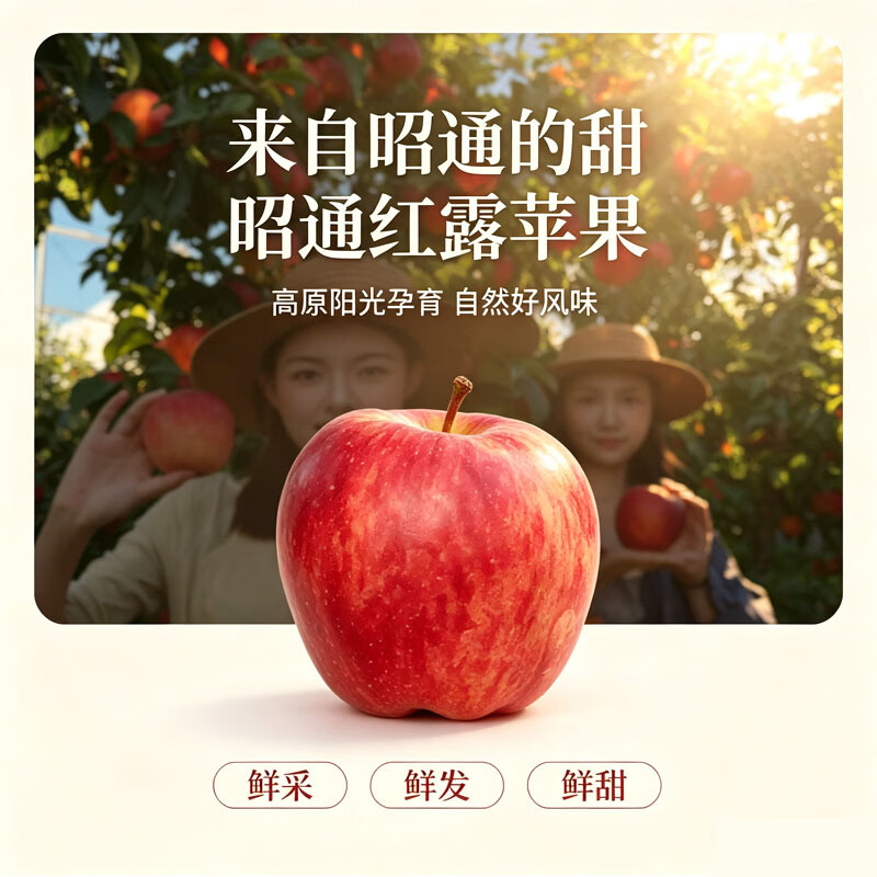 中秋送礼红露苹果礼盒新鲜红露云南昭通丑苹果新鲜采摘冰糖心水果 红露苹果4.5斤（箱未满量已足 论斤不论个） 80g+（1斤小果 不推荐）泡沫托+彩箱+网套发货