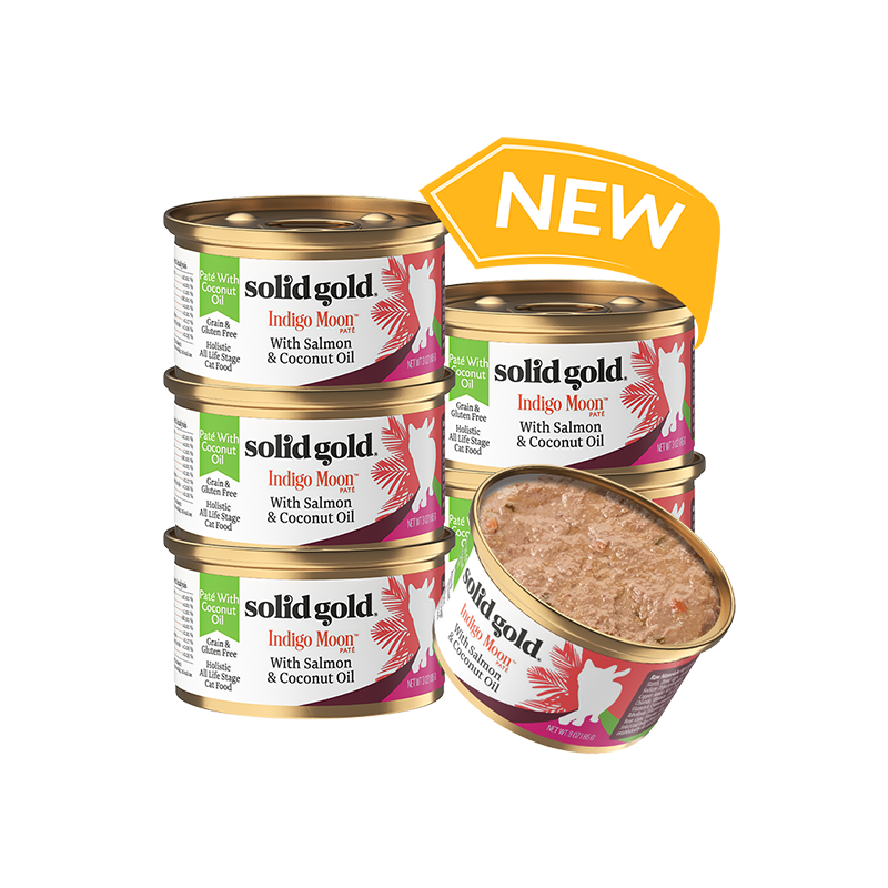 素力高（SolidGold）进口主食级猫罐头湿粮 三文鱼 椰油美毛 高肉量 补水 85g*6
