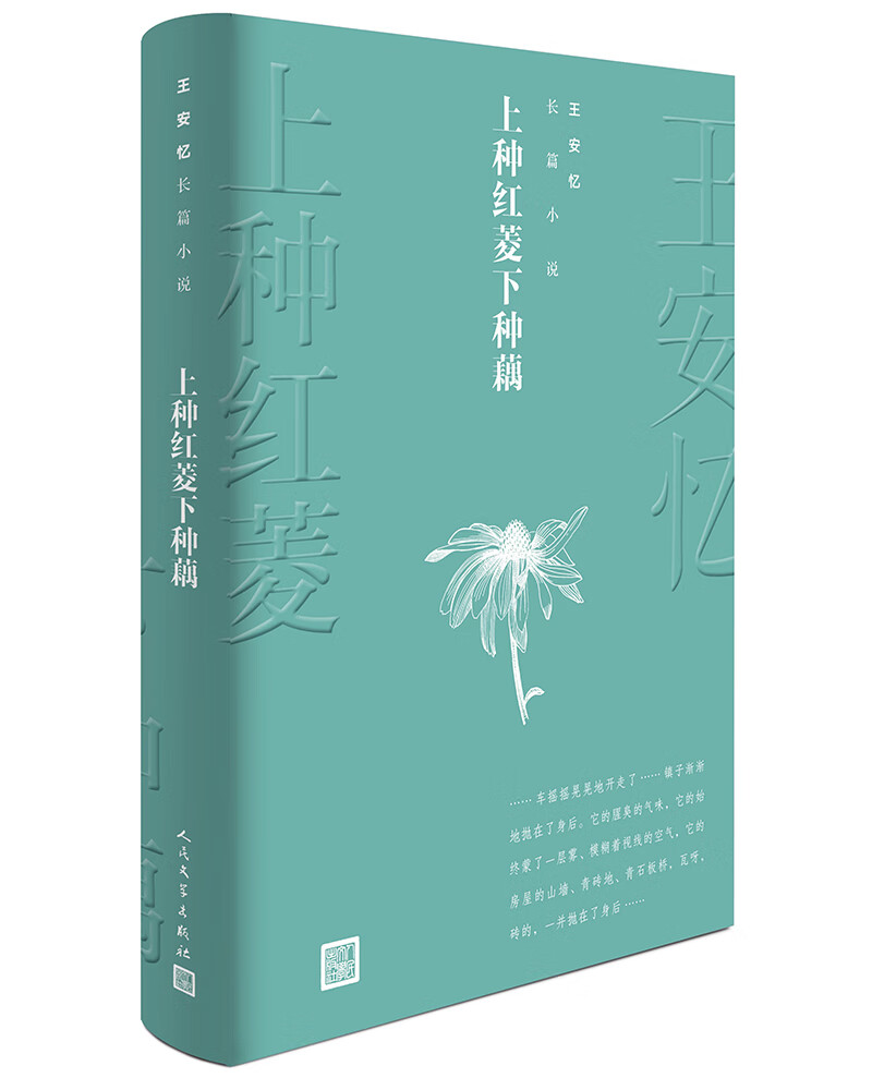 王安忆长篇小说:上种红菱下种藕属于什么档次？