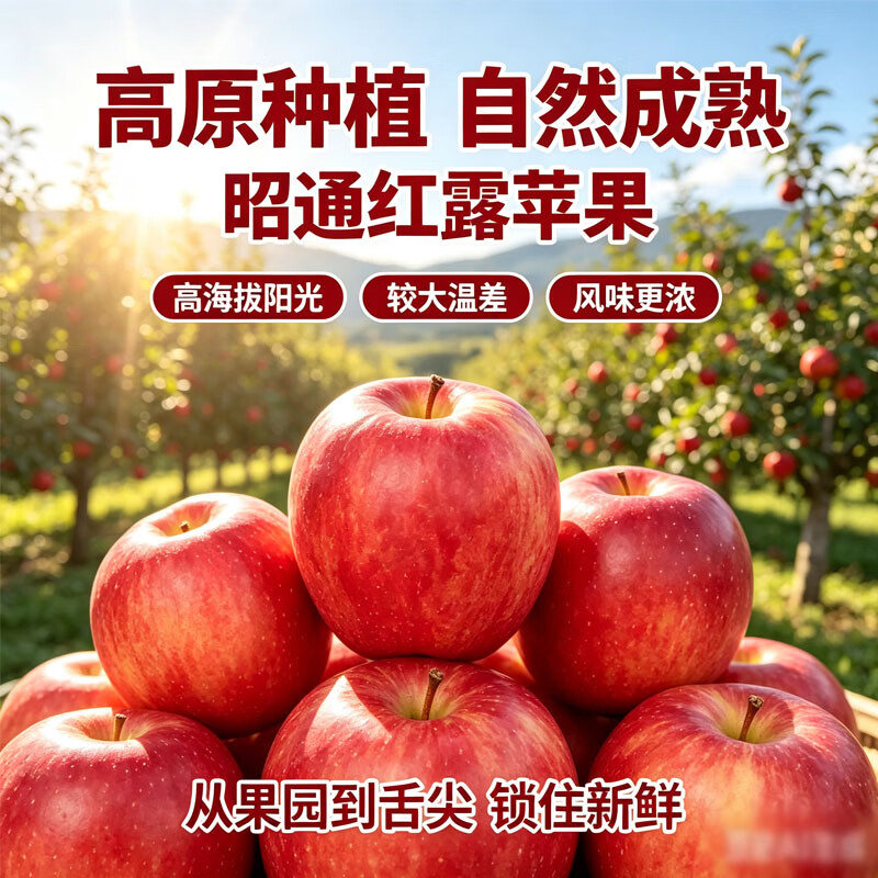 中秋送礼红露苹果礼盒新鲜红露云南昭通丑苹果新鲜采摘冰糖心水果 红露苹果4.5斤（箱未满量已足 论斤不论个） 80g+（1斤小果 不推荐）泡沫托+彩箱+网套发货