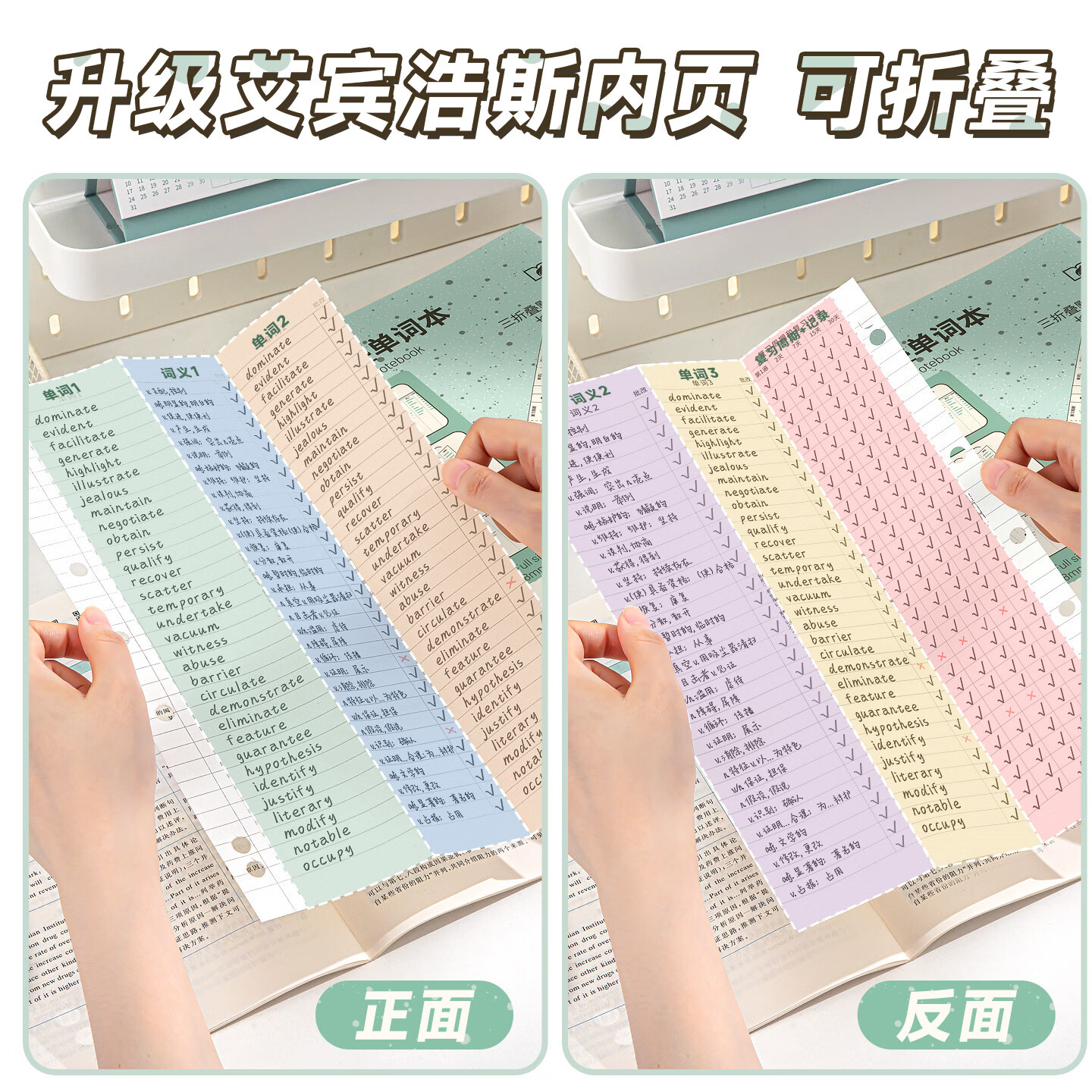 四季年华开学季新款三折叠艾宾浩斯英语单词本便携式背单词本初高中生专用听写记背神器单词默写本子活页款 A4【三折叠英语本】浅蓝+浅绿/2本装/送透明外壳 100张
