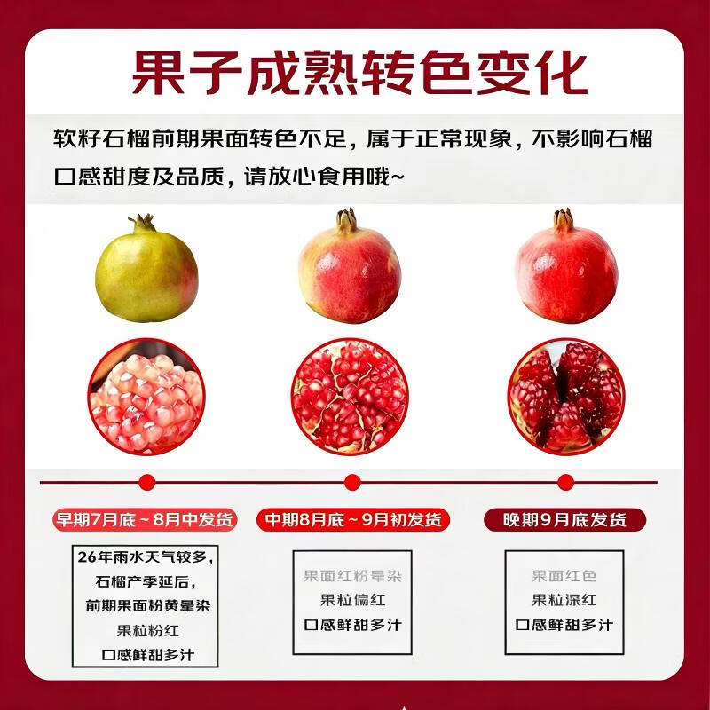 好媛好宇突尼斯软籽石榴水果 新鲜水果礼盒 净重4.5斤精选果 单果6两-8两装