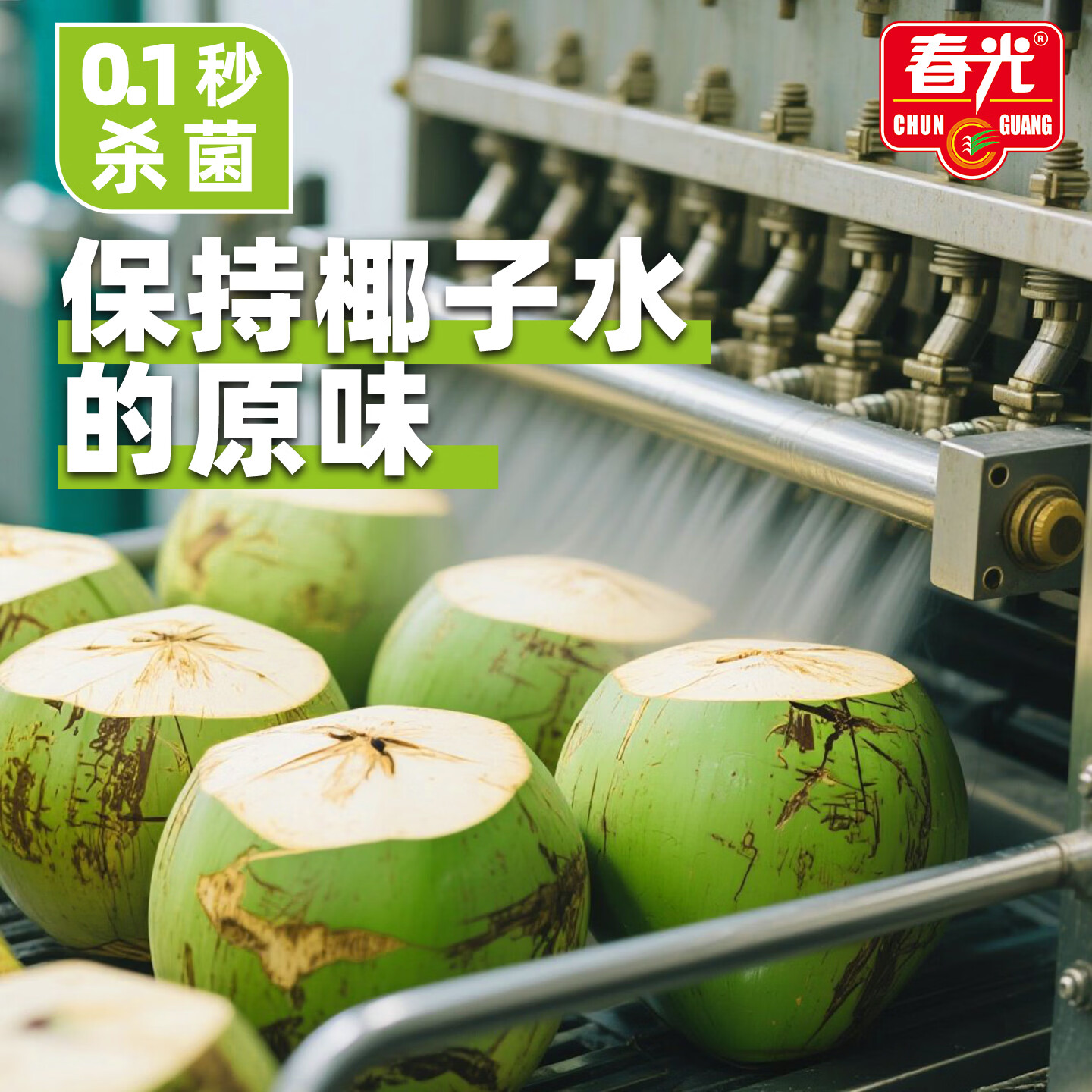 春光食品 椰子水1L 天然果汁饮料 海南特产