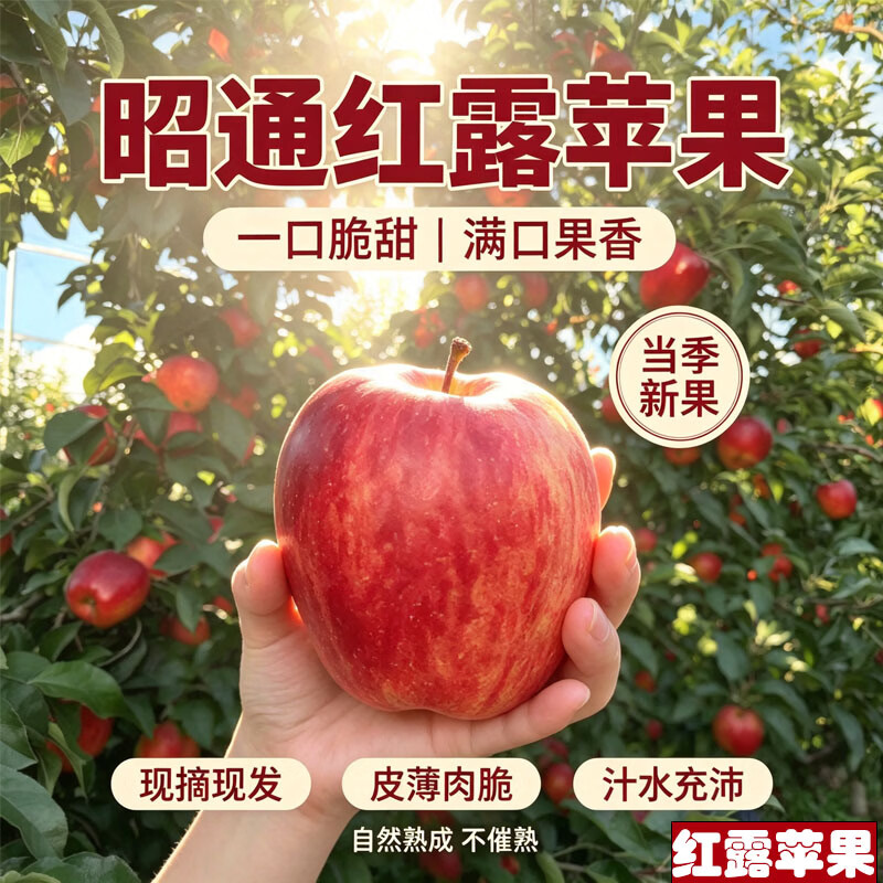 中秋送礼红露苹果礼盒新鲜红露云南昭通丑苹果新鲜采摘冰糖心水果 红露苹果4.5斤（箱未满量已足 论斤不论个） 80g+（1斤小果 不推荐）泡沫托+彩箱+网套发货