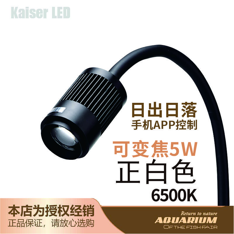 看看爆料KAISER REEF鱼缸射灯质量好不好，入手一星期感受分享