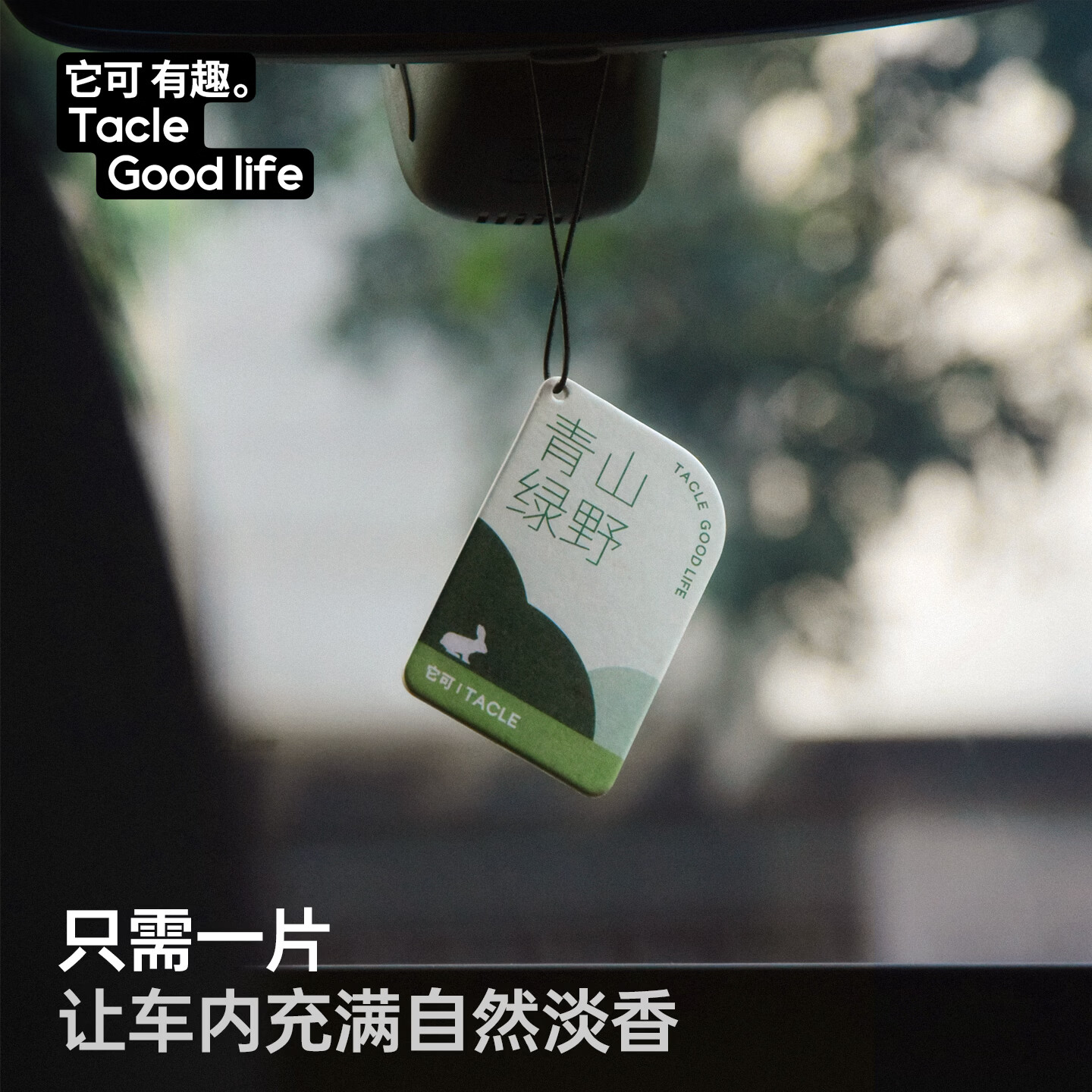 TACLE它可车载香片持久留香车载香薰片汽车香片挂件车内挂饰衣柜香氛片 全系10片盒装 【限时赠2,到手12片】