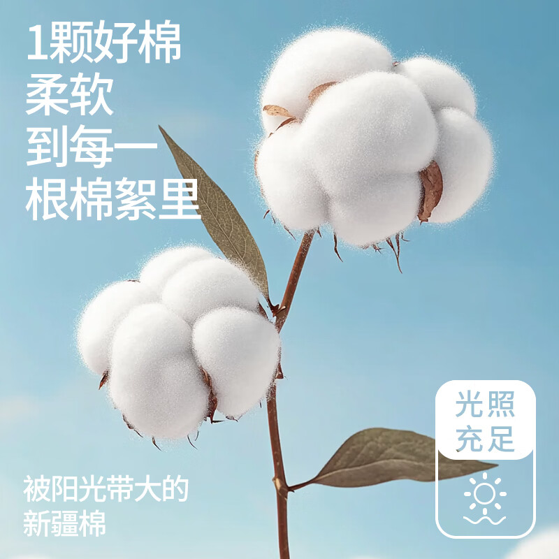 猫人(MiiOW)男士内裤棉质新疆精梳棉10A抗菌底裆平角透气26年新款男士短内裤 卡绿/深灰/木绿/棕色 4XL 适合体重165-180斤