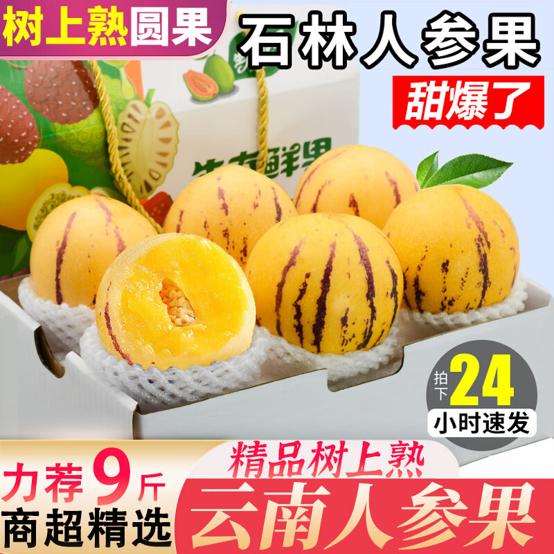 京极鲜云南人参果新鲜水果当季树上熟黄肉圆果石林人生果时令现摘整箱 净重 5斤 -大果/80g+
