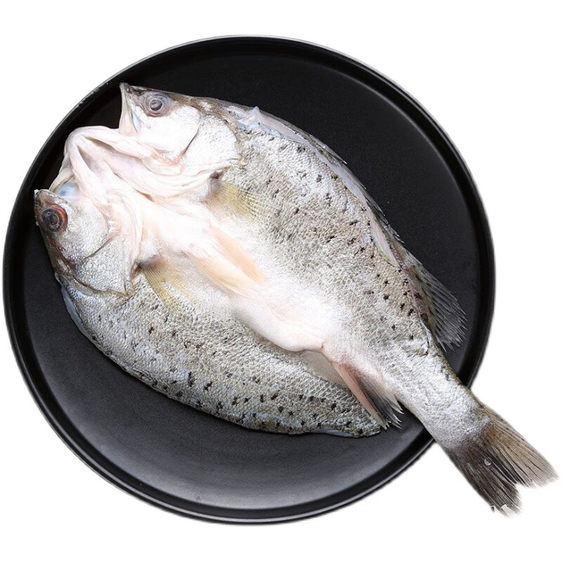鲜品虎【jd京鲜配送】海鲈鱼开背新鲜活冷冻深海鱼清蒸去内脏纸包鱼