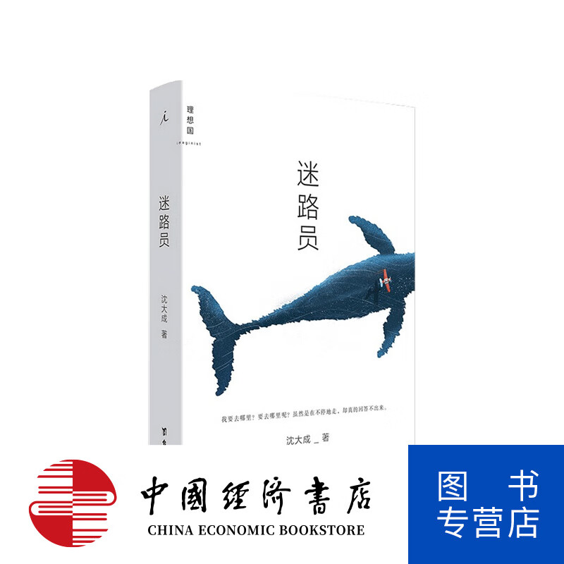 迷路员 沈大成 著