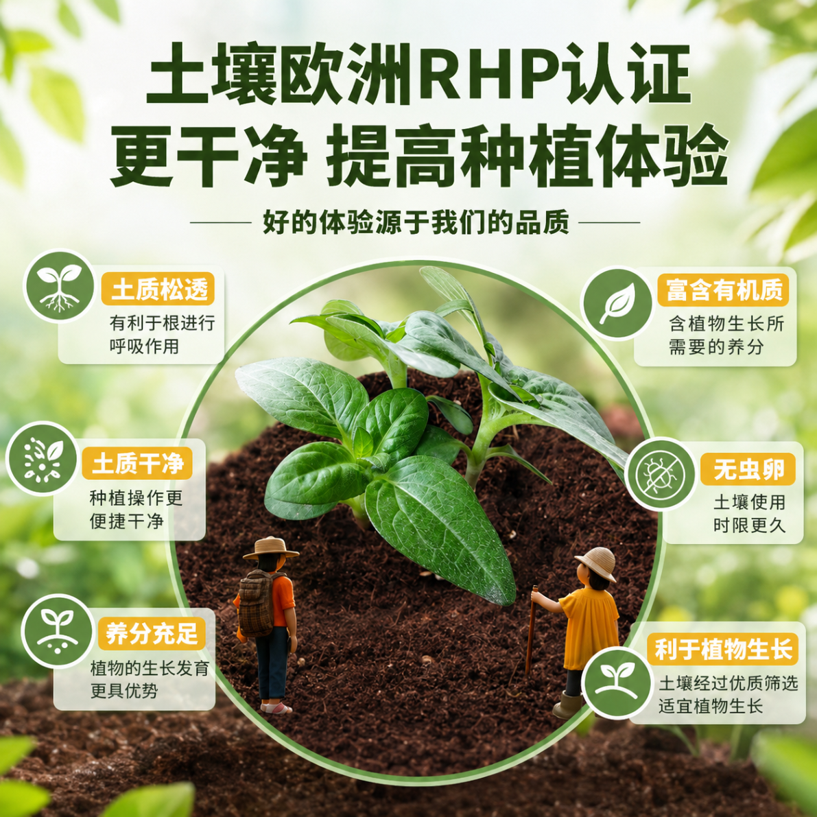 IAM City Farmer矮向日葵DIY儿童种植小盆栽种子植物盆栽幼儿园绿植趣味观察 【矮生向日葵】套装 含盆含土含种子