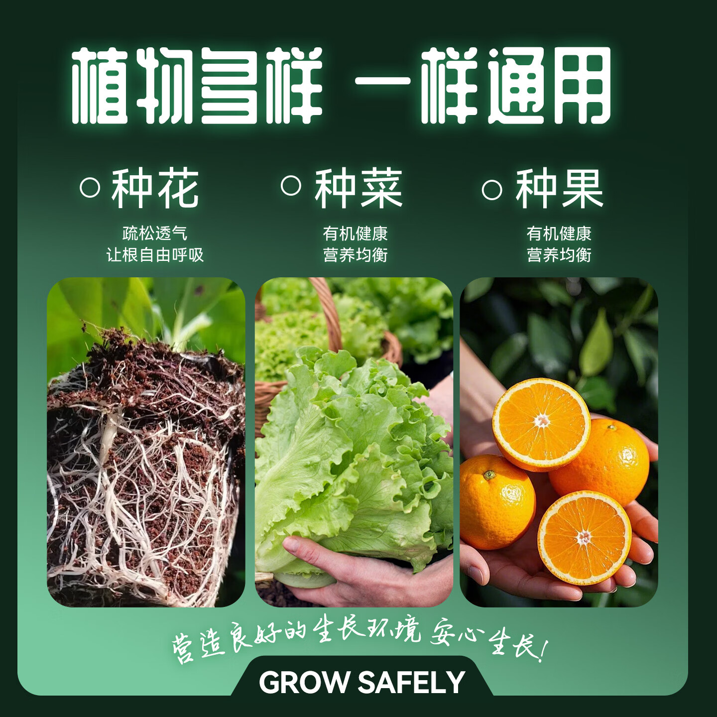 花丁园艺营养土 通用型养花种菜种植土 家庭盆栽绿植花土 [通用型]园艺营养土40L