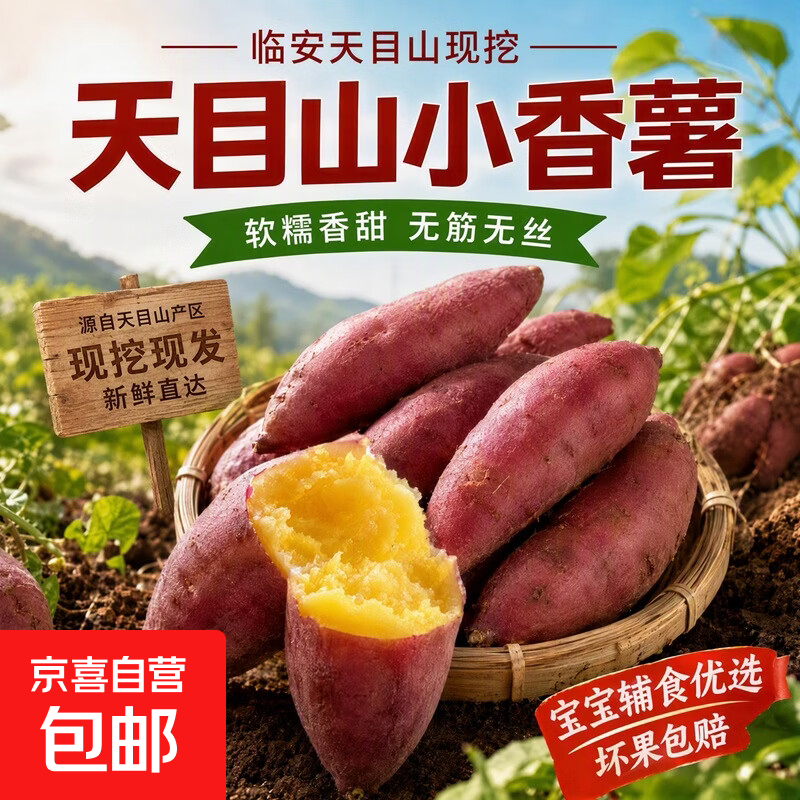 临安天目山小香薯正宗农家自种小番薯地瓜蜜薯新鲜黄心板栗红薯 正宗小香薯5斤 净重